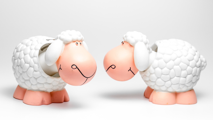 Two plastic sheep facing each other